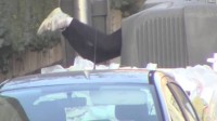 9.000 toneladas de papel robado y un negocio millonario: así operaba la mafia de los cartoneros de Madrid
